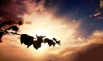 Eclipse of a kind :) 