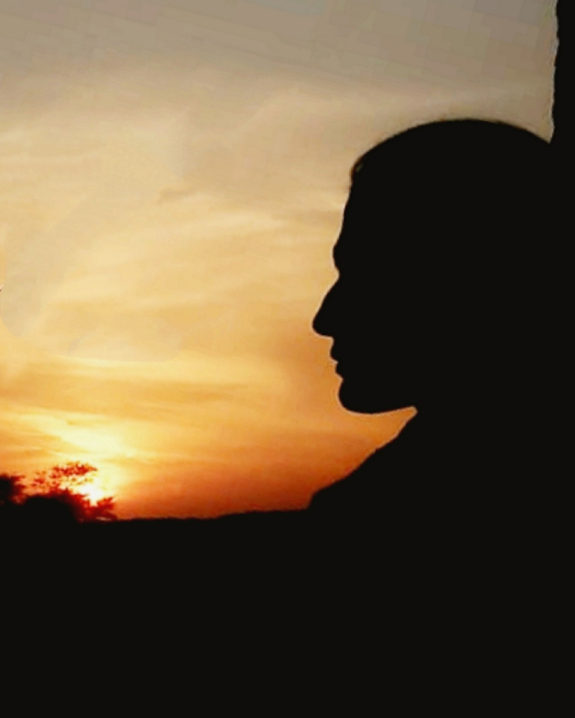 Dusk and Silhouette 
