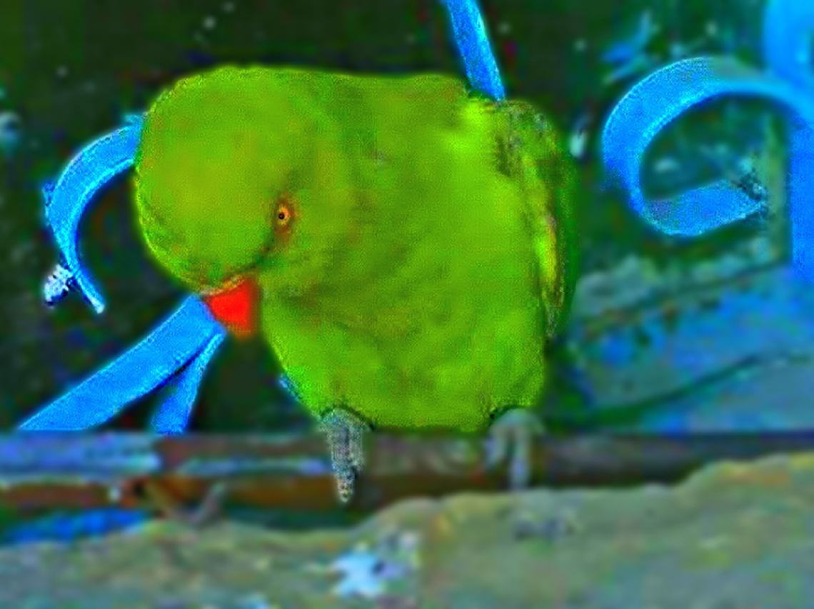 Me Angry, Dad... 