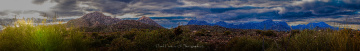 Arizona Panorama