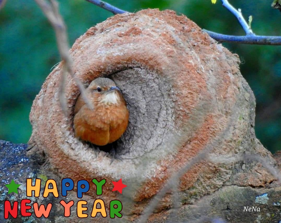 Happy New Year!