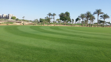 Egypt - Alain Alsokhna 