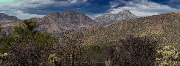 Snow On The Mountain
