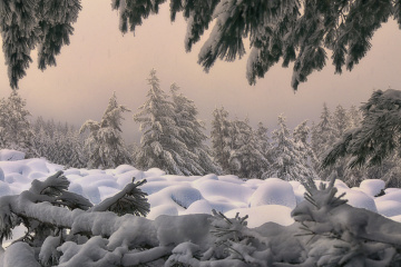 Winter story