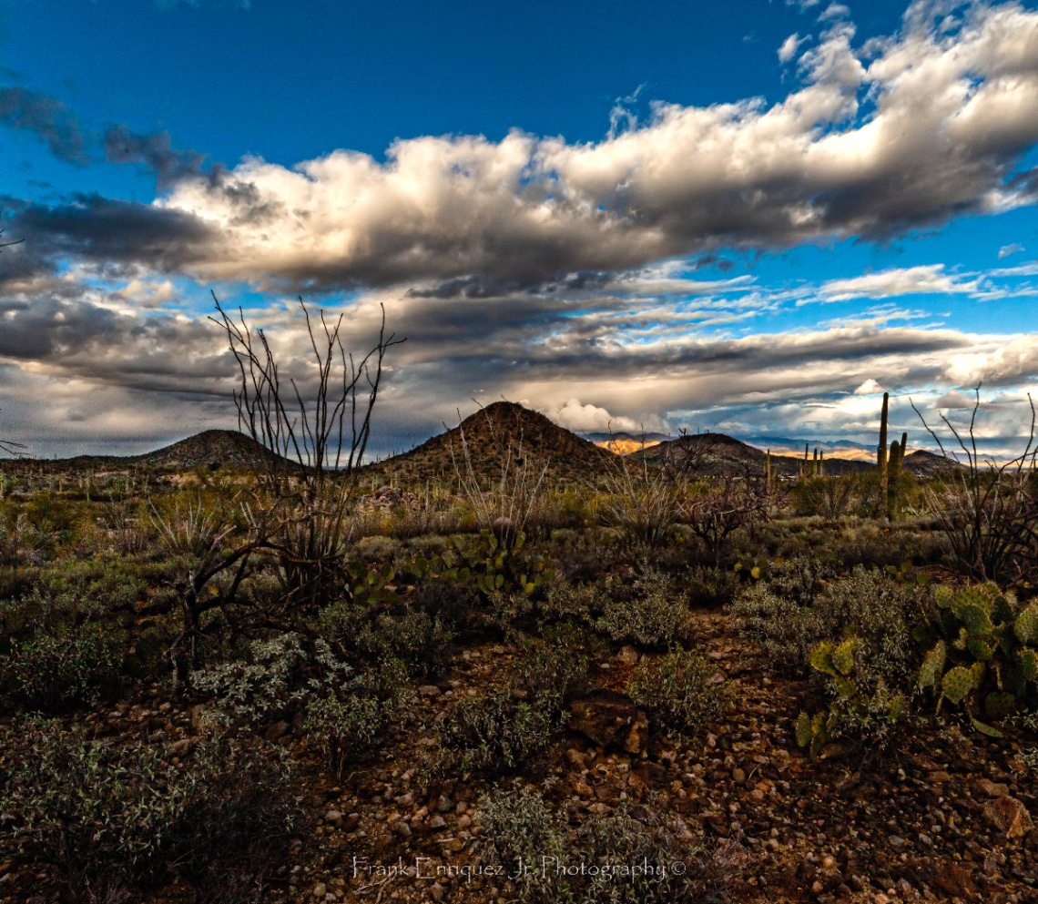 Winter Arizona Sunset