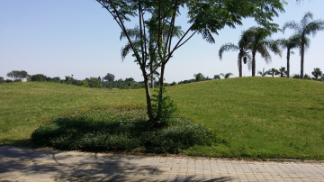Egypt  - Cairo  