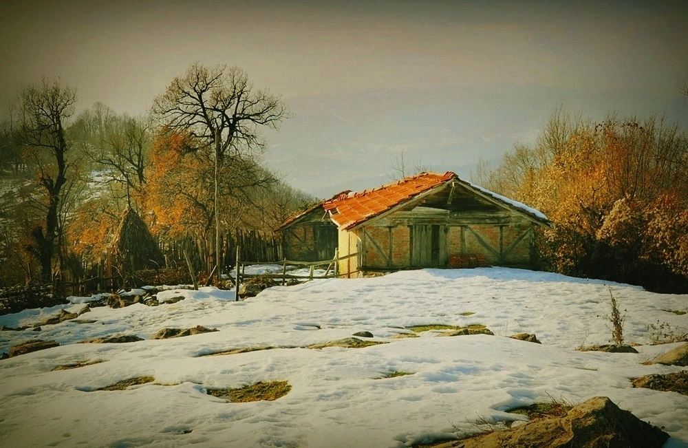 KIŞ