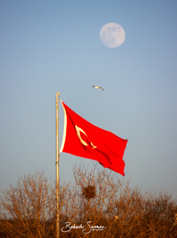 Bayrak, vatan, özgürlük