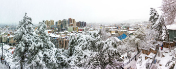 Bursa