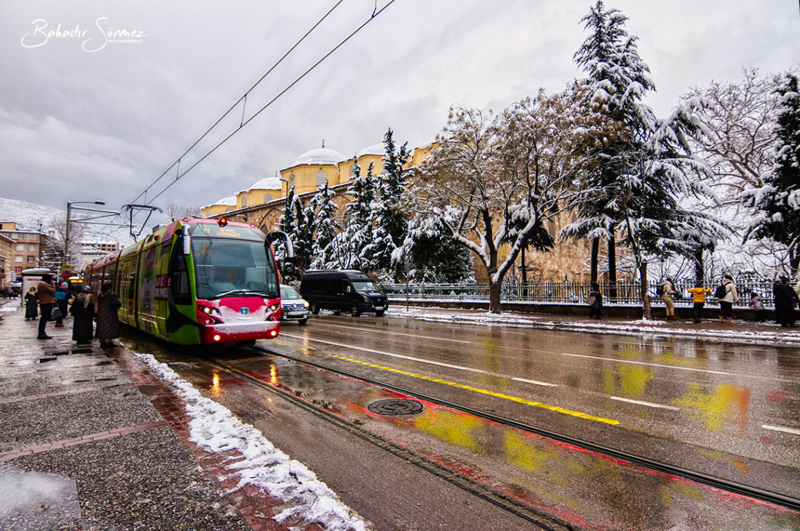 Bursa