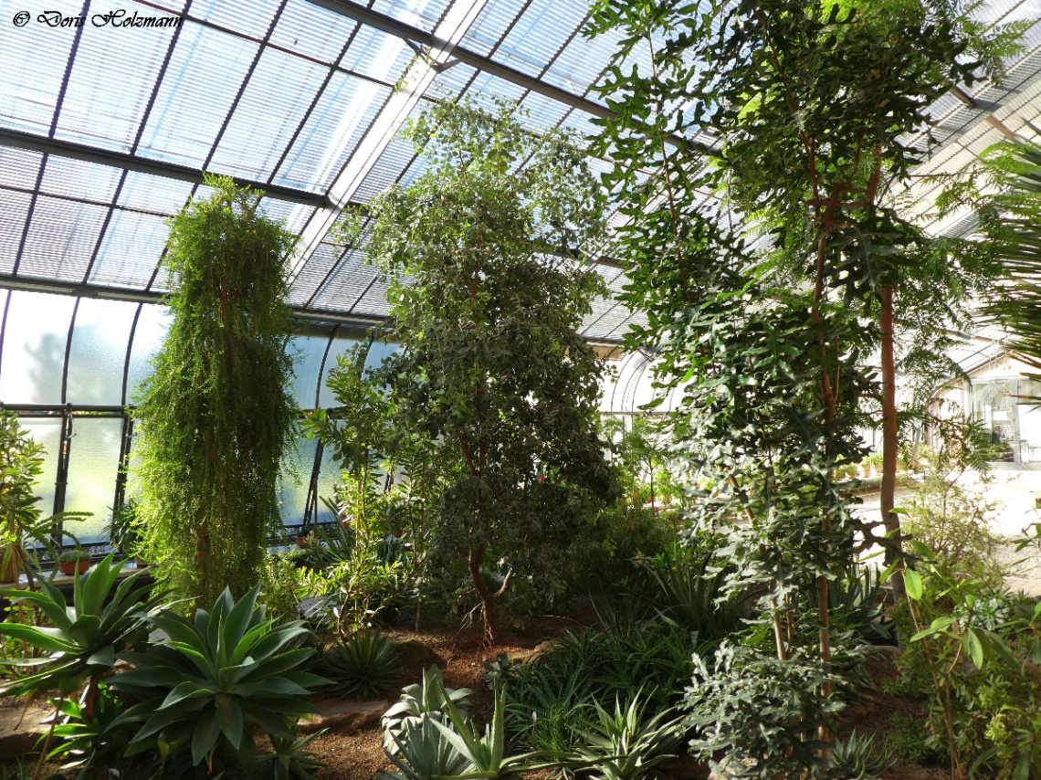 Greenhouse Botanical Garden, Karlsruhe / Germany