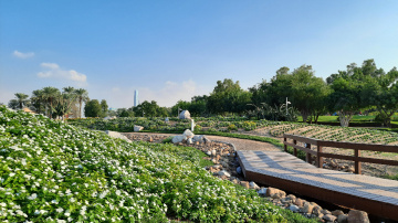 Egypt - Garden 
