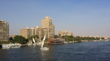 Egypt  - Cairo   -  Nile River 