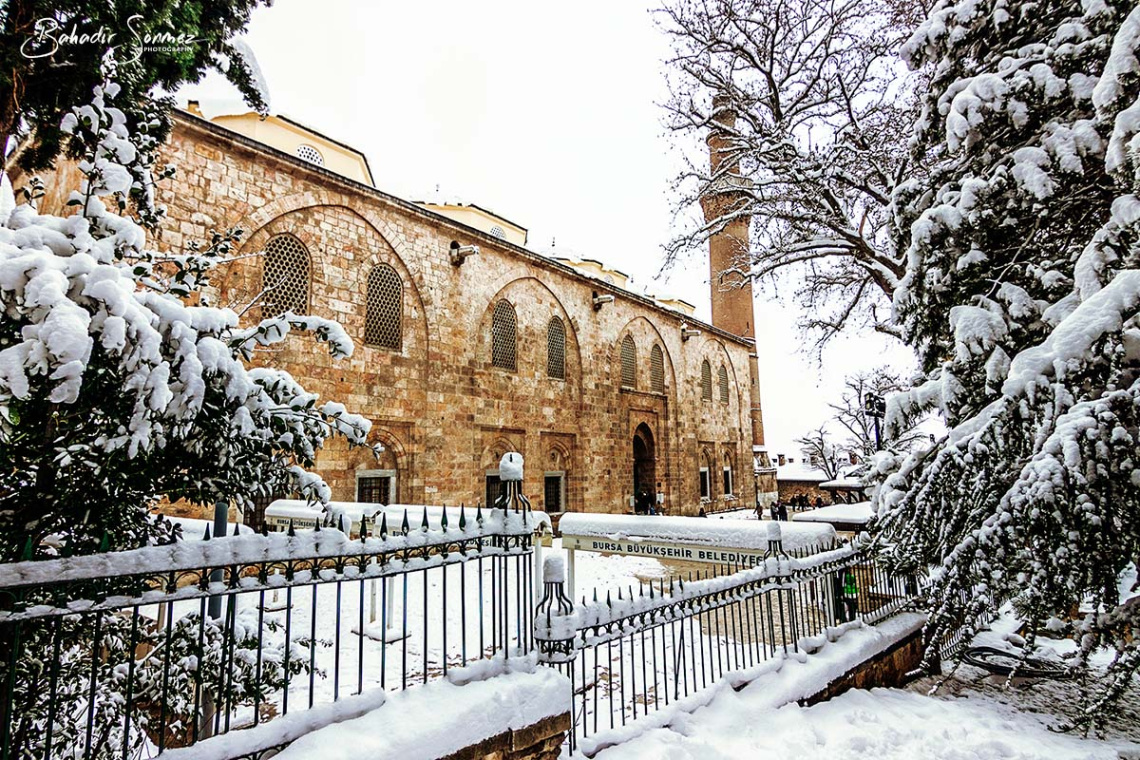Bursa
