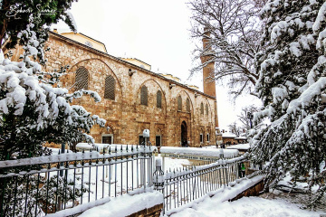 Bursa