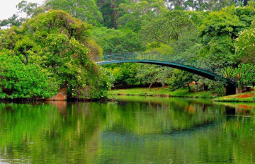 Parque Ibirapuera 