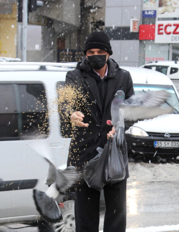 DOĞA