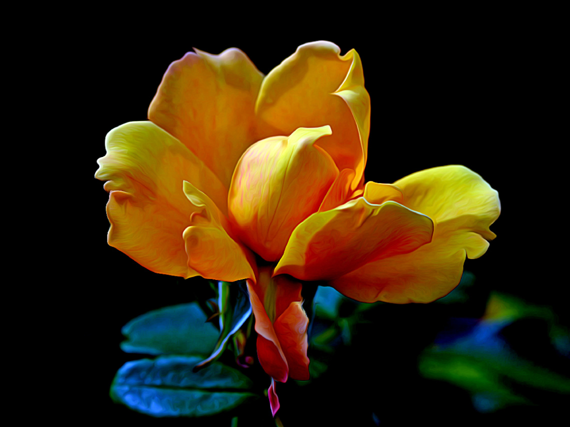 BLÜTE