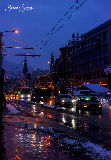 Bursa