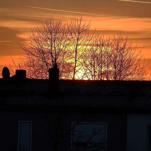 sunrise