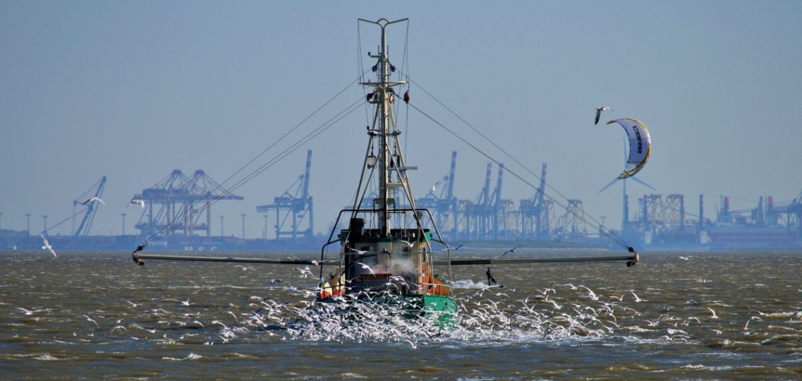 Krabbenkutter Nordsee 