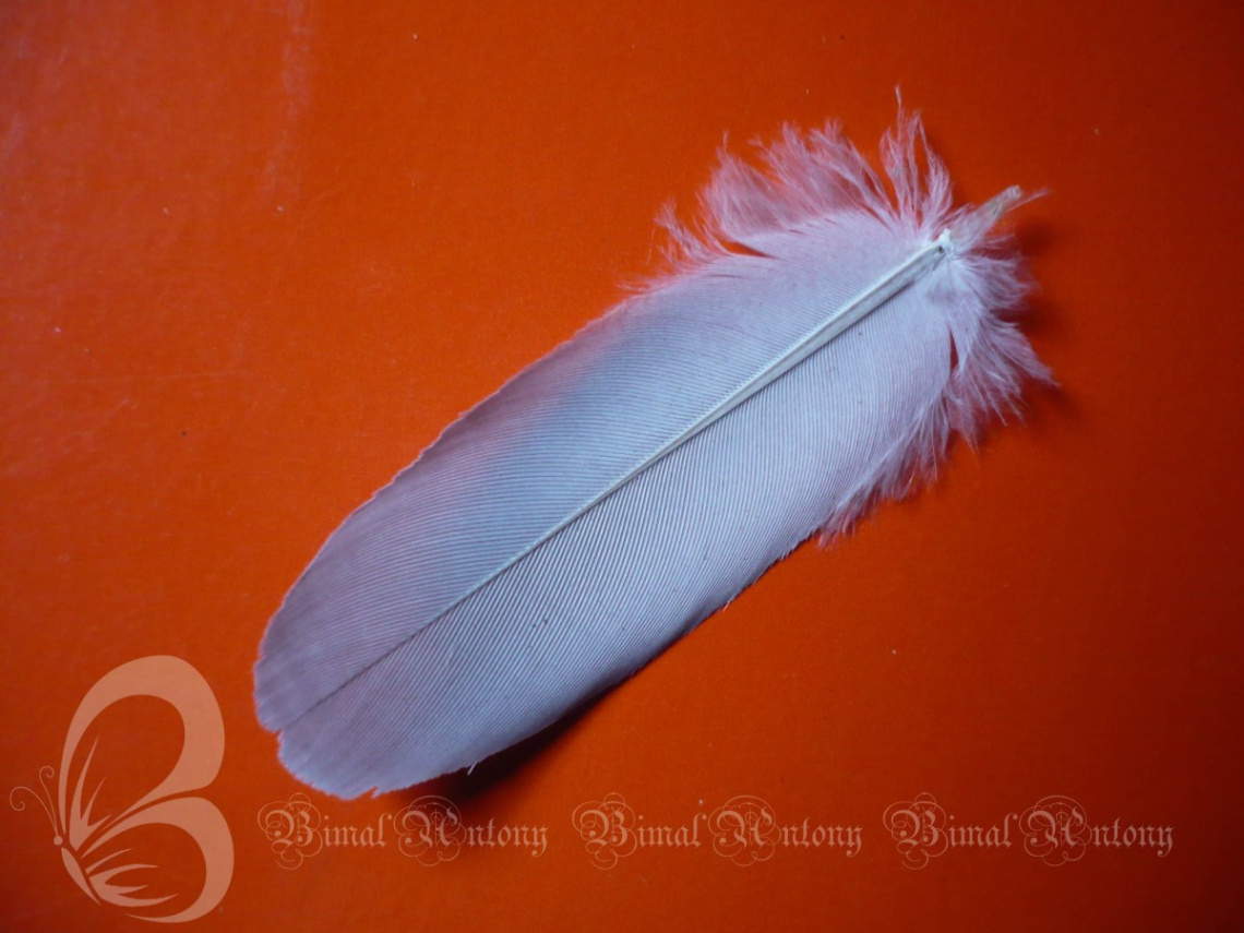 Feathertouch
