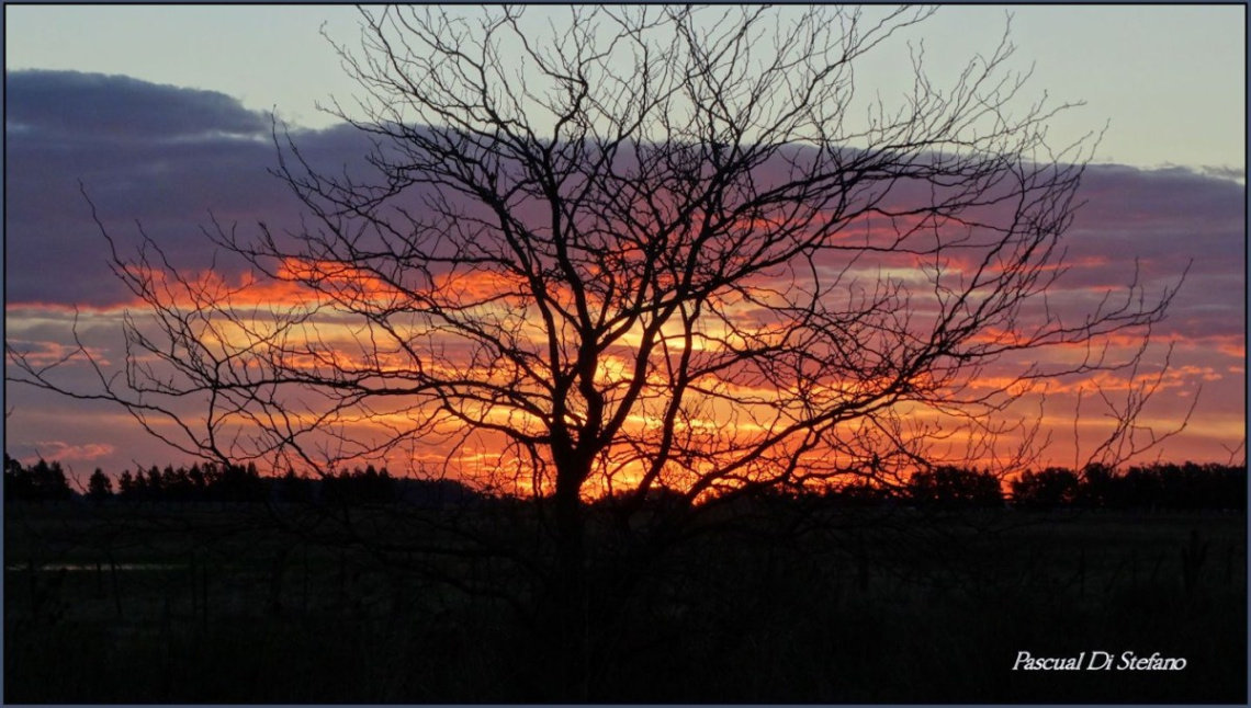 Atardecer de Campo