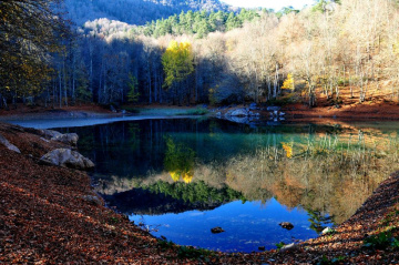 RENKLERİN DANSI.....