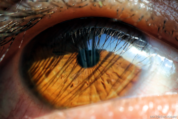 Macro Eye Work