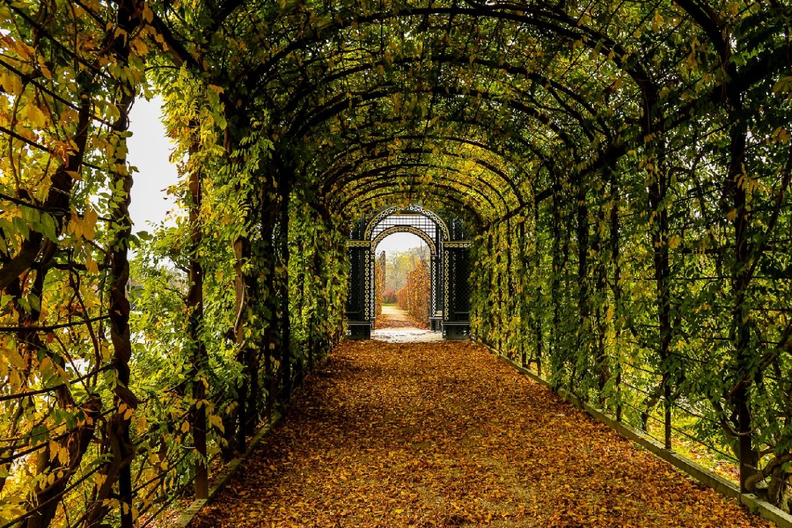 autumn