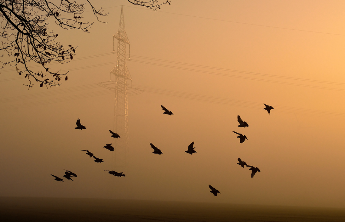 Frosty and foggy morning sunset