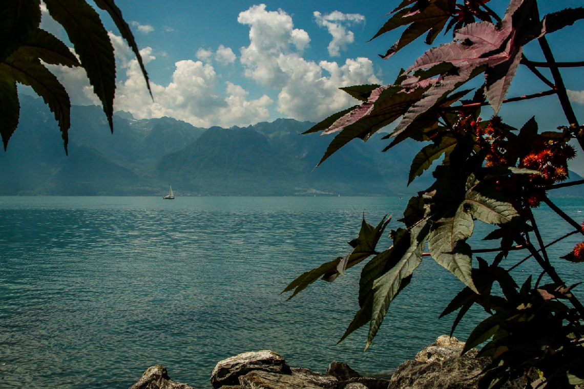 Lake Leman, Vevey