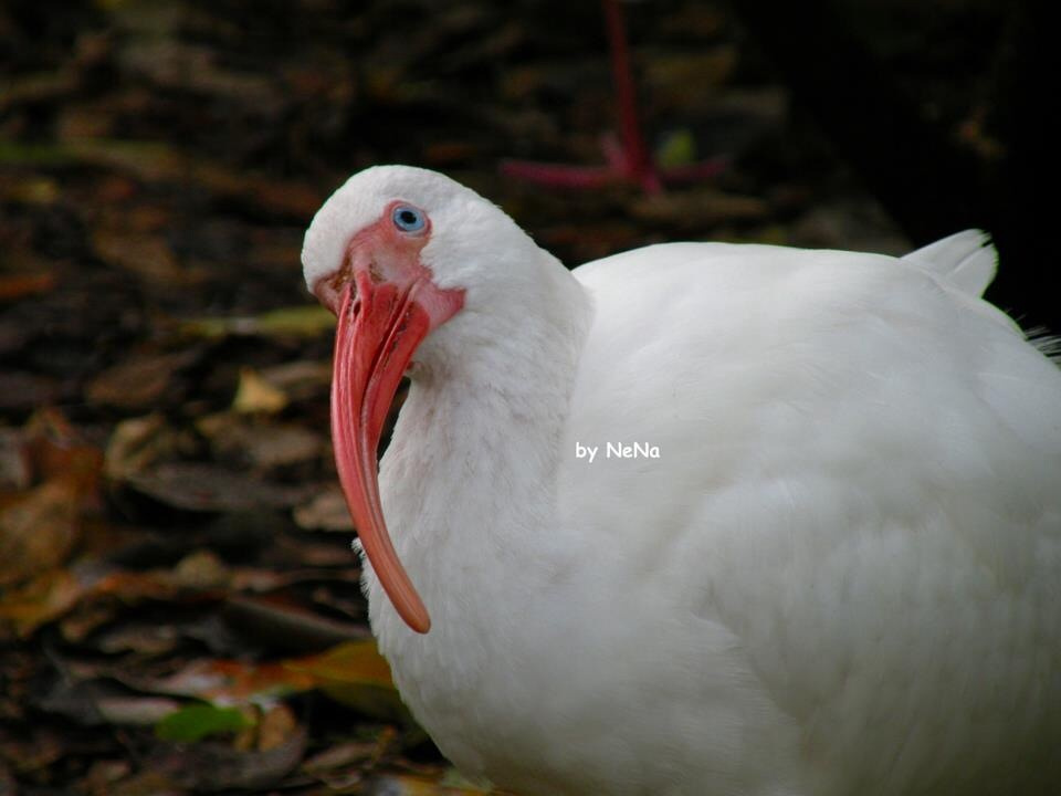 Look at me