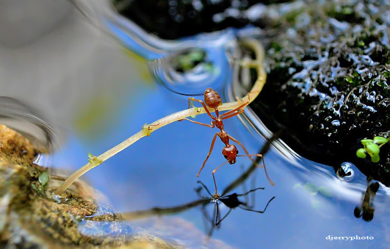 My reflection