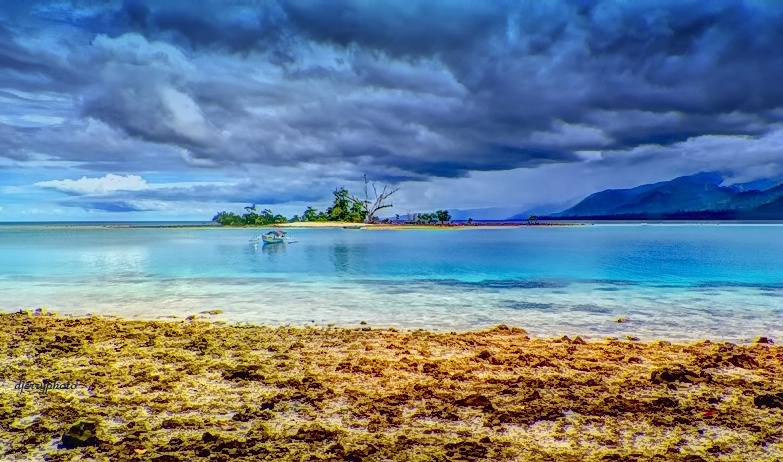 Low tide