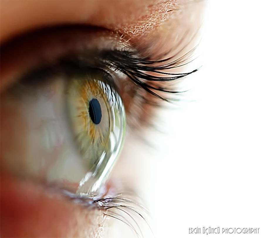 Macro Eye