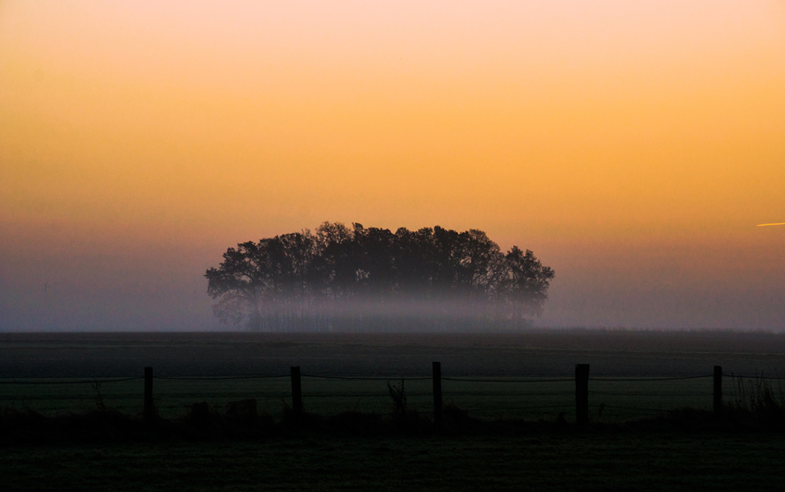 Sunset foggy morning