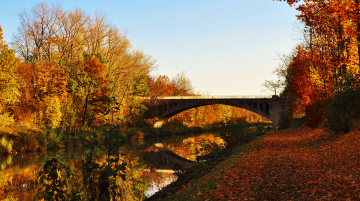 Autumn Mirror