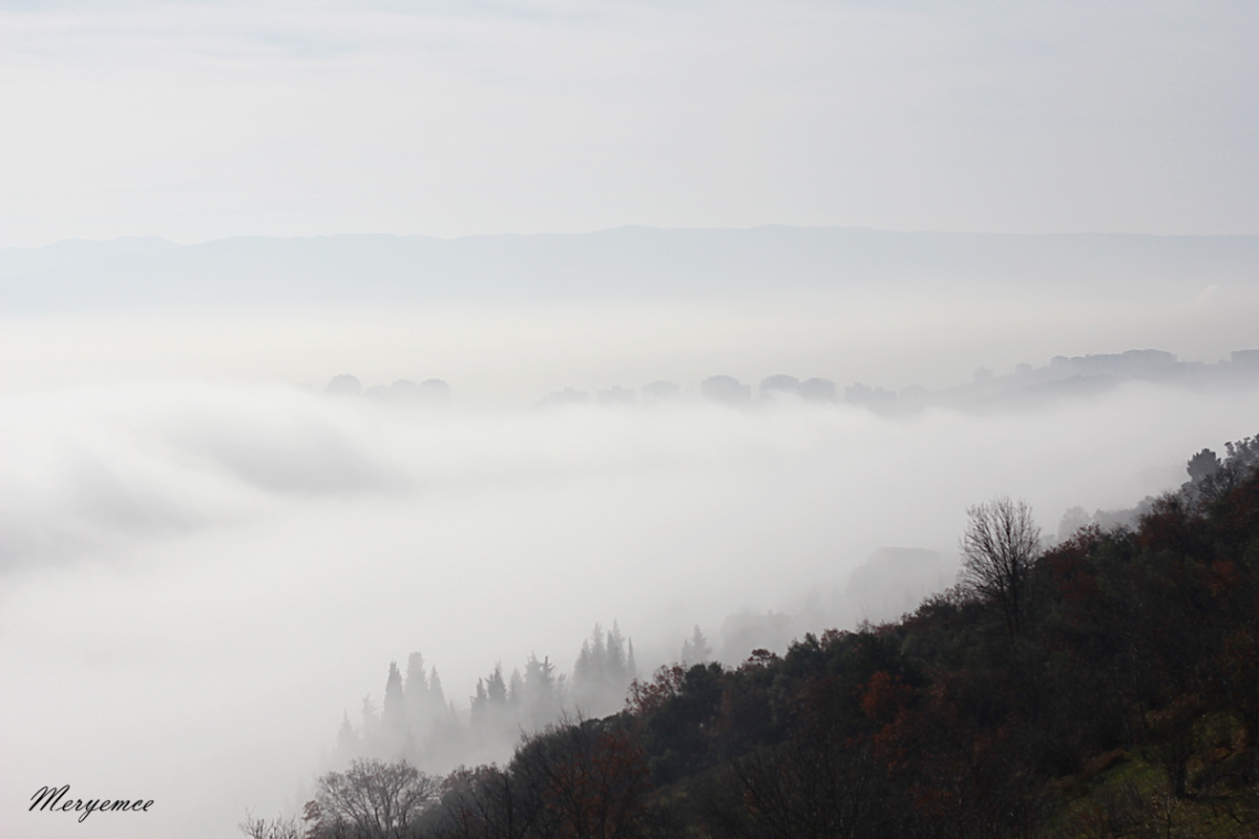 Foggy
