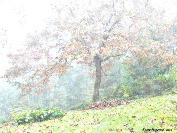 Sunrise Through the Fog