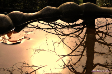 Reflections at Moonrise