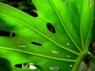 Seen from another angle