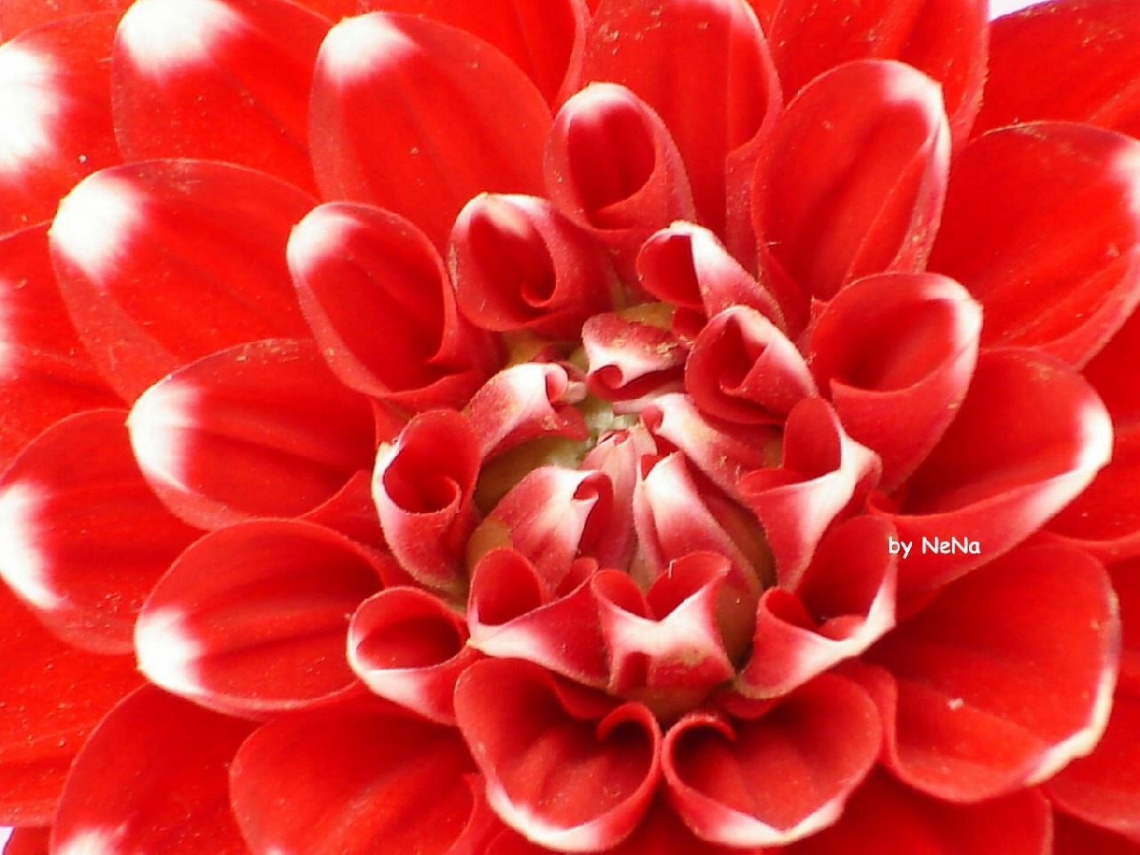 Details of nature