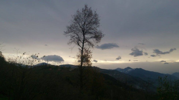 YAŞAMAK                                                             