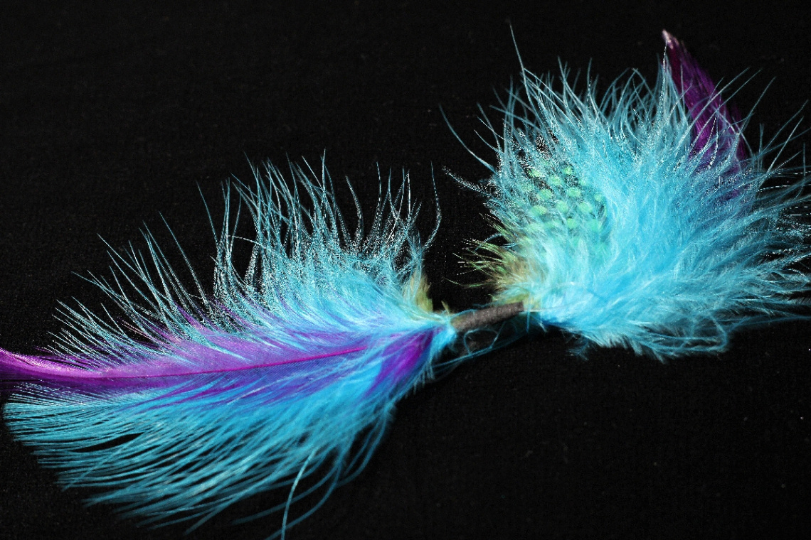 Feather