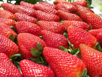 Strawberry