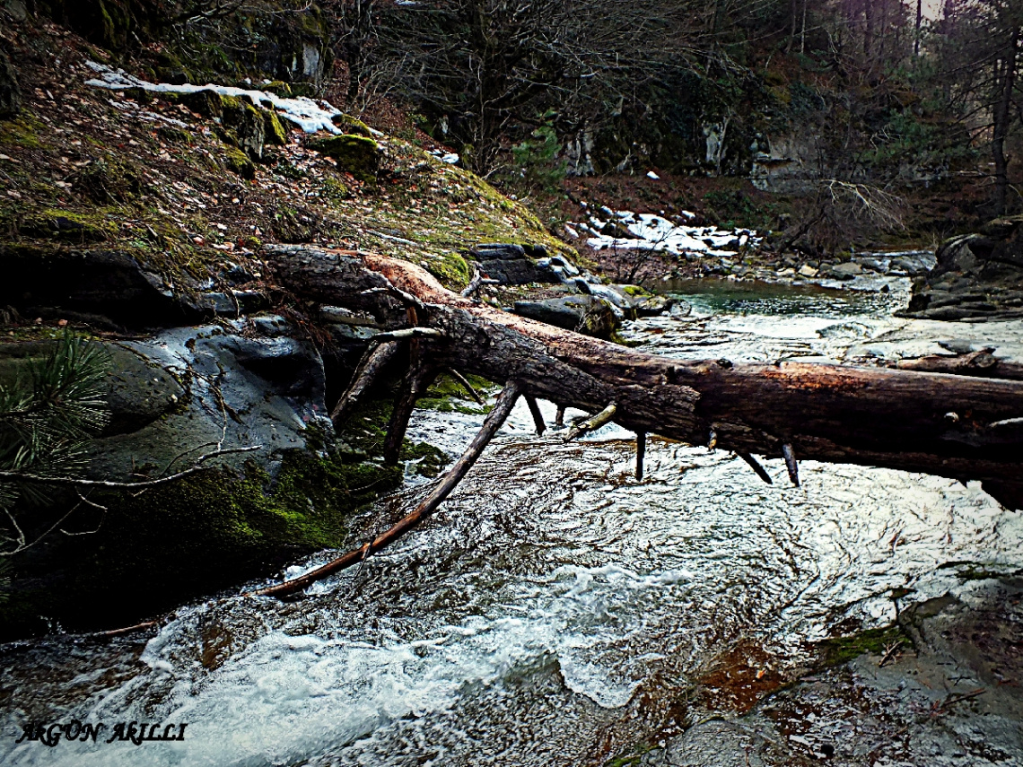 doğa