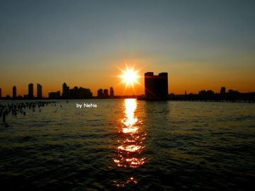 Sunset shine