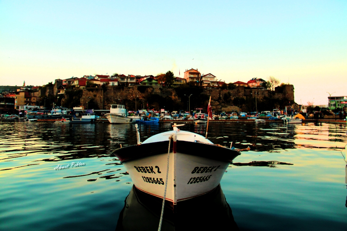 Balık Krallığı Amasra