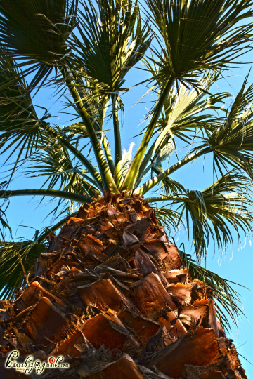 Bakış Açısı O An
